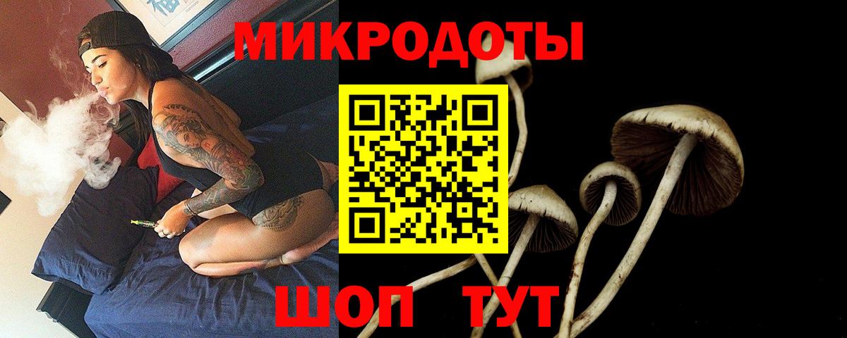 Галлюциногенные грибы GOLDEN TEACHER Зеленогорск